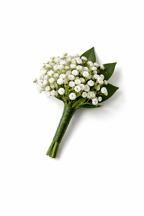 Baby’s Breath Boutonniere